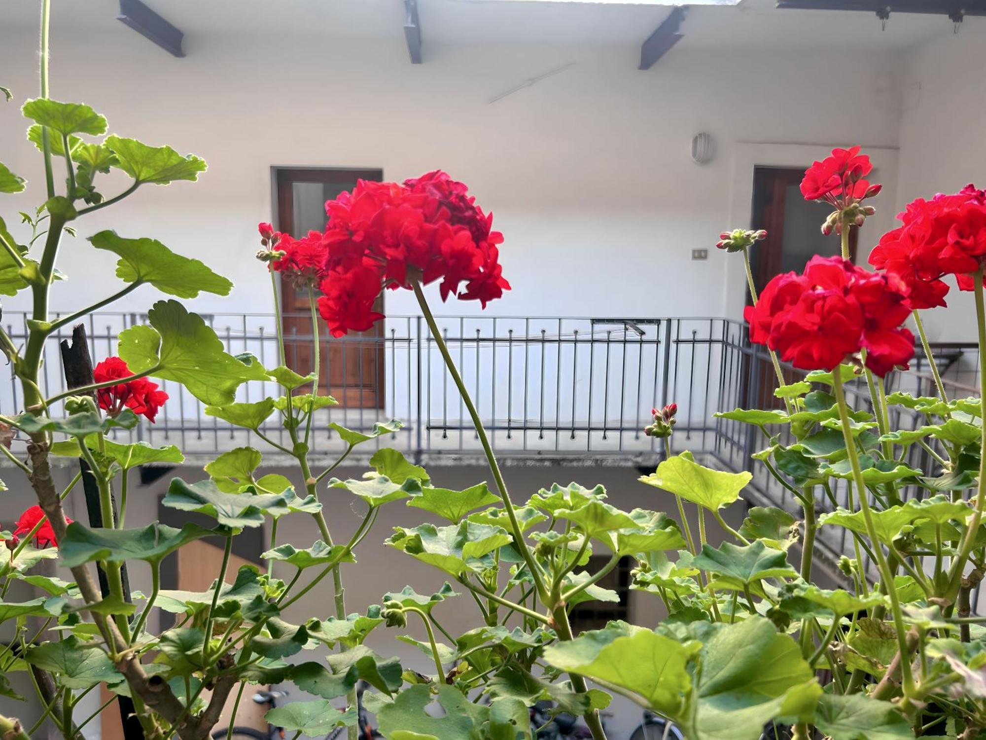 Gorizia Holiday Inn Rastello Suite Bagian luar foto